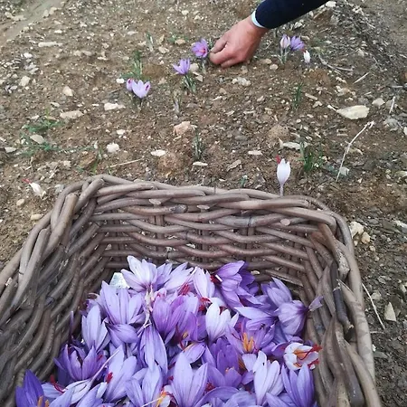 בית חווה Selvella